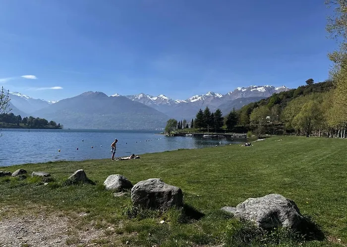 Serenity - * 콜리코